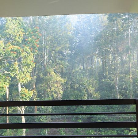 Aditi Thekkady Dış mekan fotoğraf