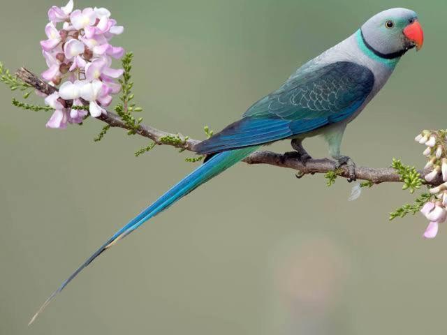 Aditi Thekkady Dış mekan fotoğraf