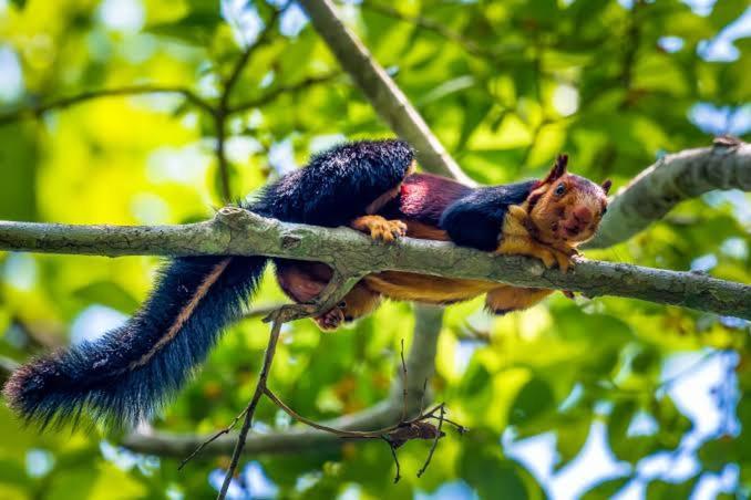 Aditi Thekkady Dış mekan fotoğraf