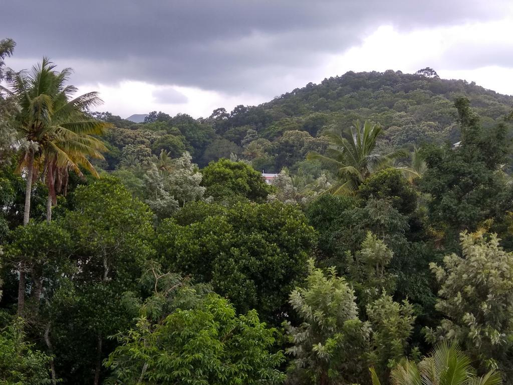 Aditi Thekkady Dış mekan fotoğraf